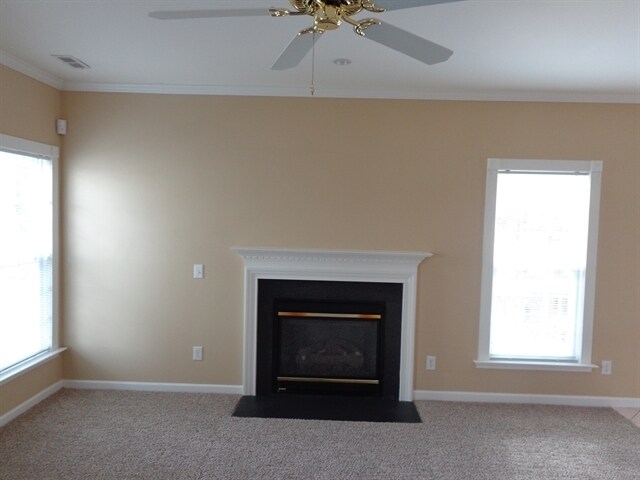 Building Photo - 3539 Balsam Tree Dr