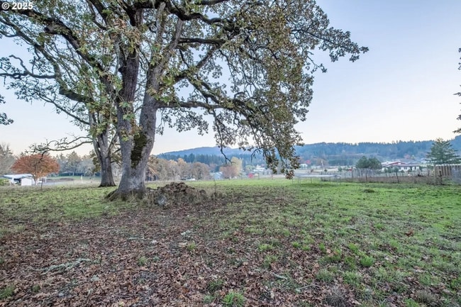 Building Photo - 3bedroom 2bath House