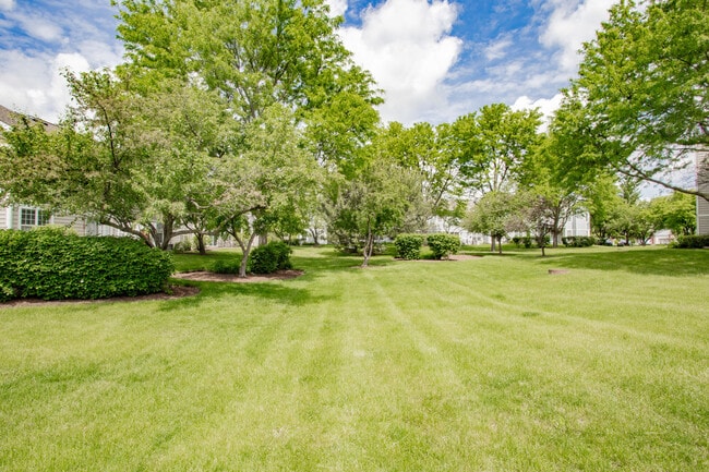 Building Photo - 313 Sheffield Dr