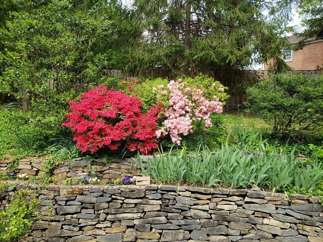 Building Photo - COMING SOON - 4Bed/2.5Bath Raised Rambler in Bannockburn near Glen Echo Park!