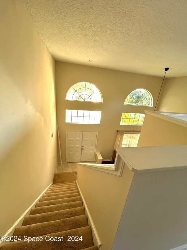 Building Photo - 6991 Hammock Trace Dr