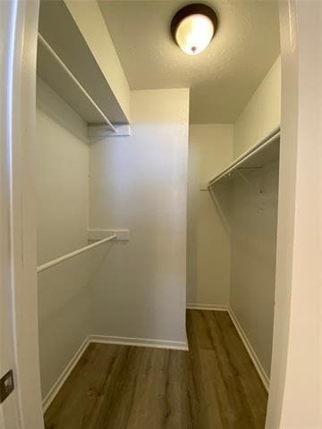 Building Photo - 2311 Kingsford Ct