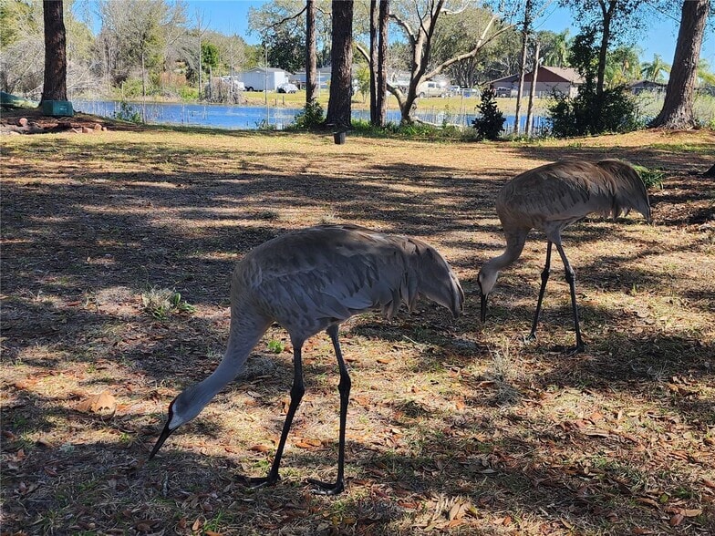 Building Photo - 2033 Quintilis Ct