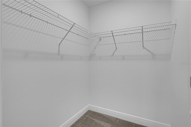 Building Photo - 2137 Sunshine Peak Dr