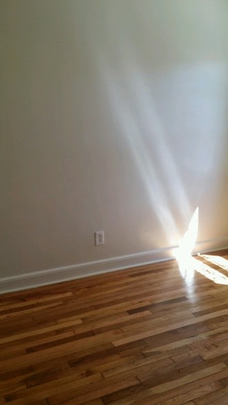 Building Photo - 851 E 84th St