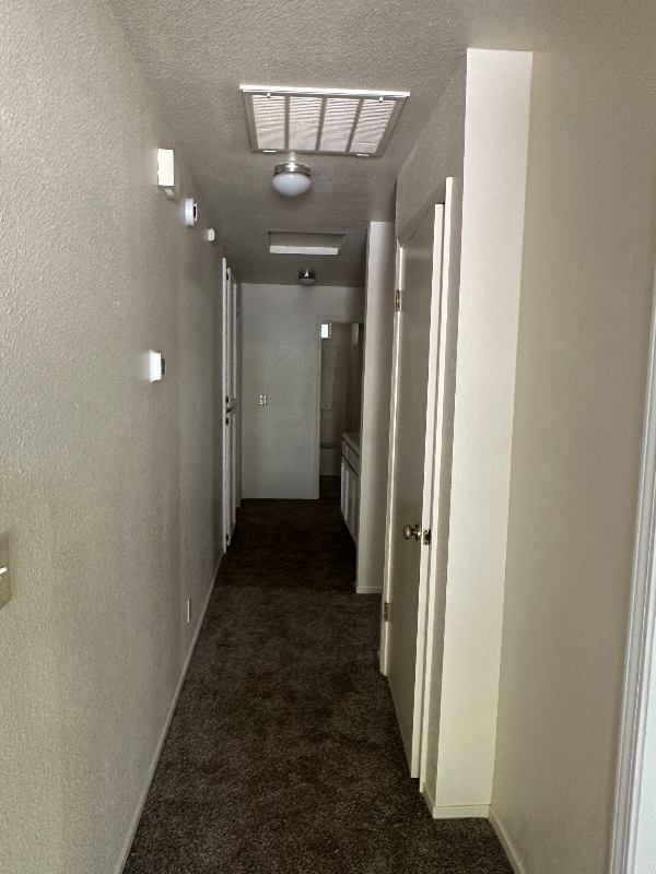 Building Photo - 1035 Cordelia Ct