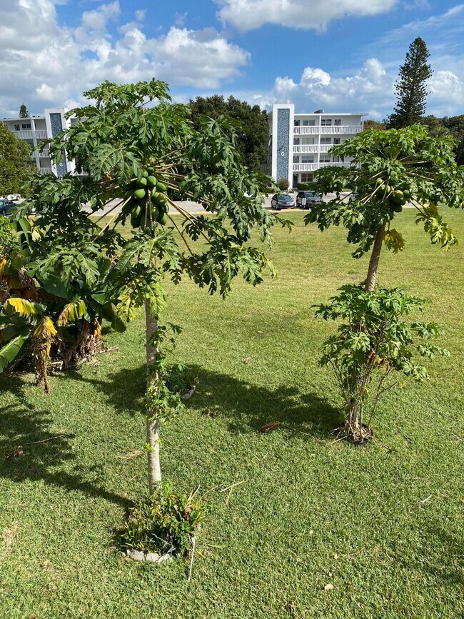 Building Photo - 72 Newport D