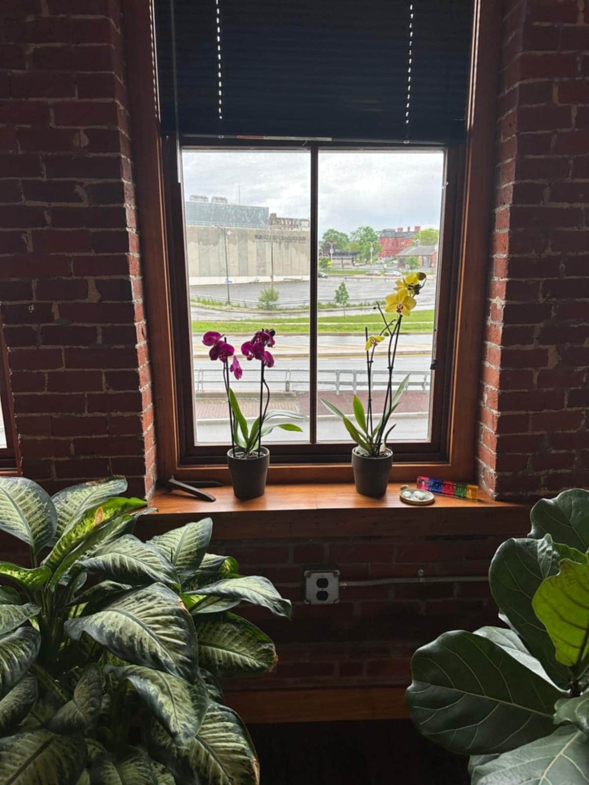 Building Photo - 98 Genesee St