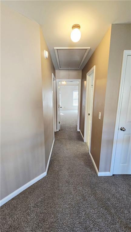 Building Photo - 223 Elmbrook Ln