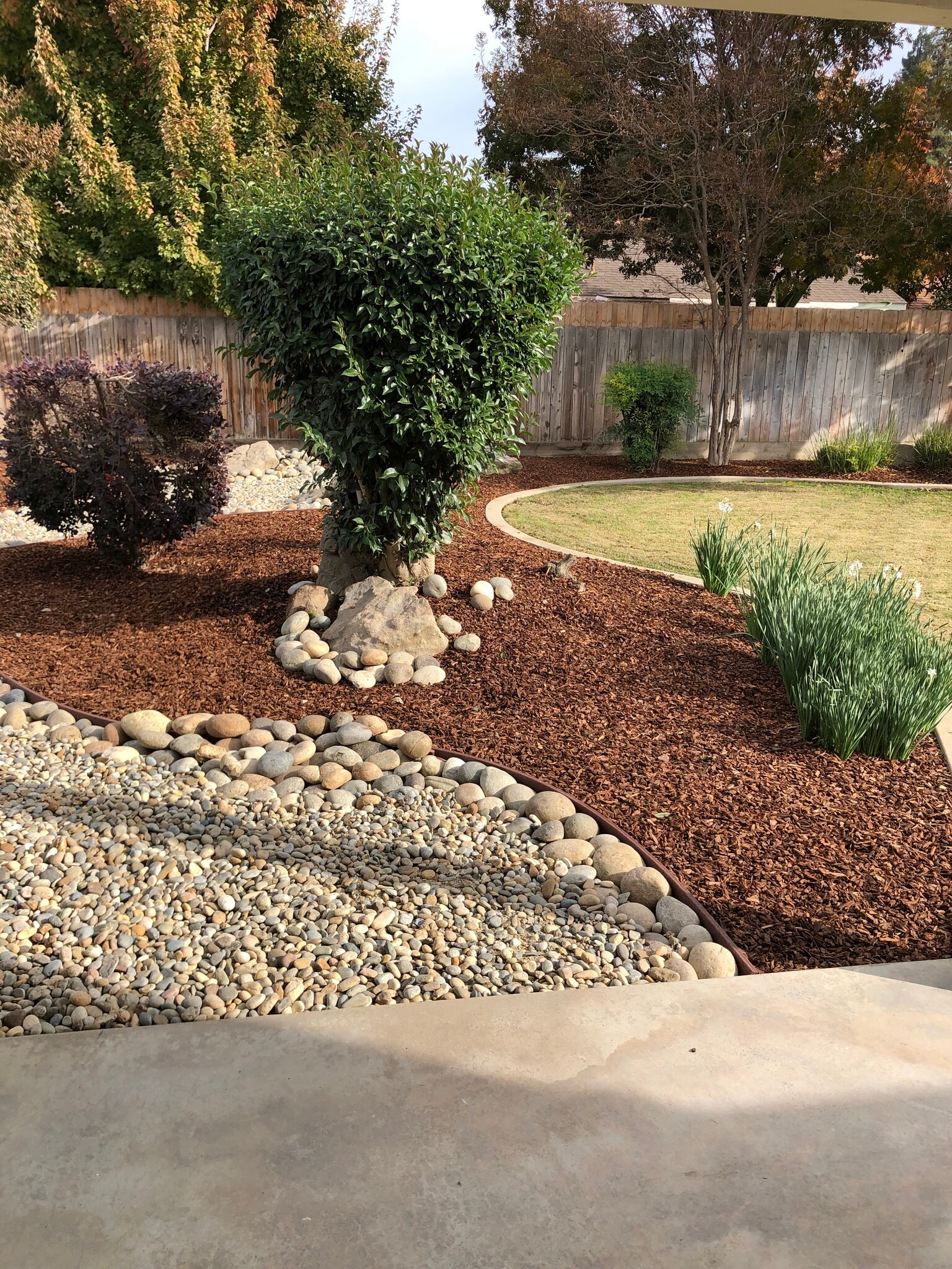 Backyard - 1222 S Spruce St