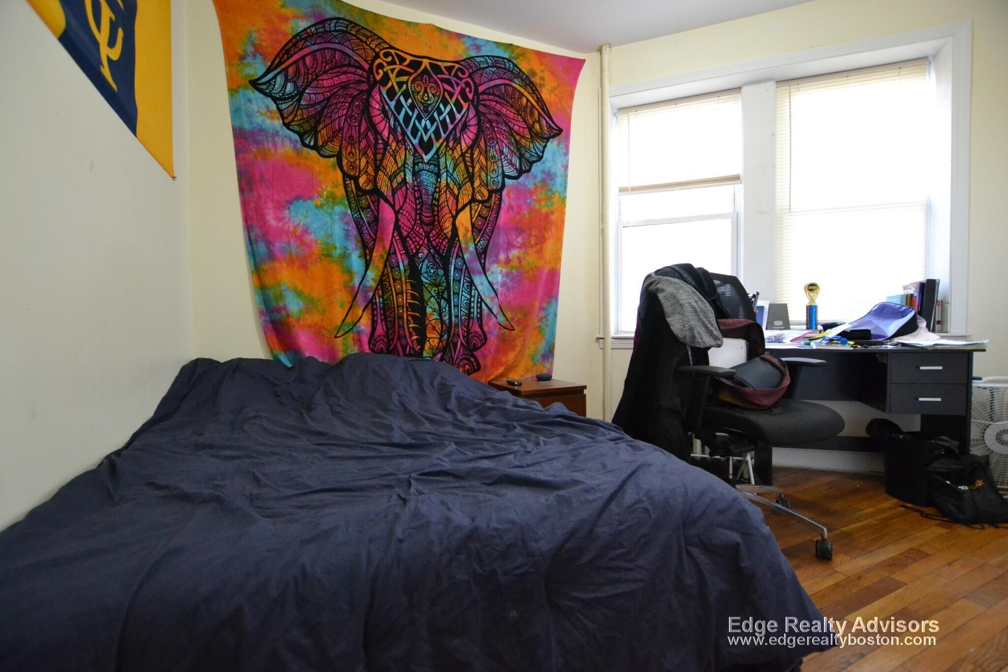 Building Photo - 21 Egmont St