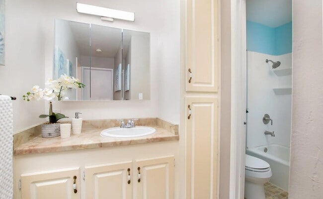 Building Photo - Stunning one-bedroom, one-bathroom apartme...