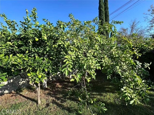 Building Photo - 1126 Highland Oaks Dr