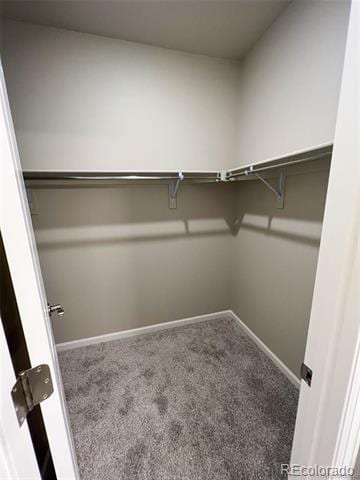 Building Photo - 8428 Galvani Trl