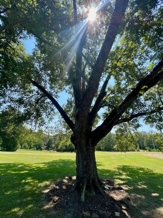 Building Photo - 1053 New Bridge Rd