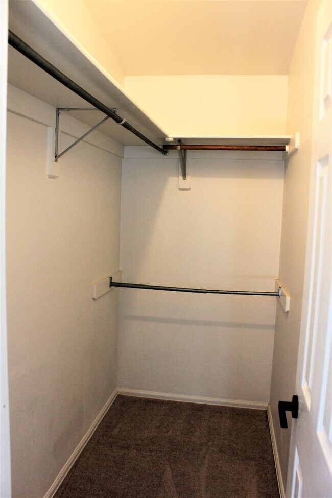 Building Photo - 4535 Witches Hollow Ln