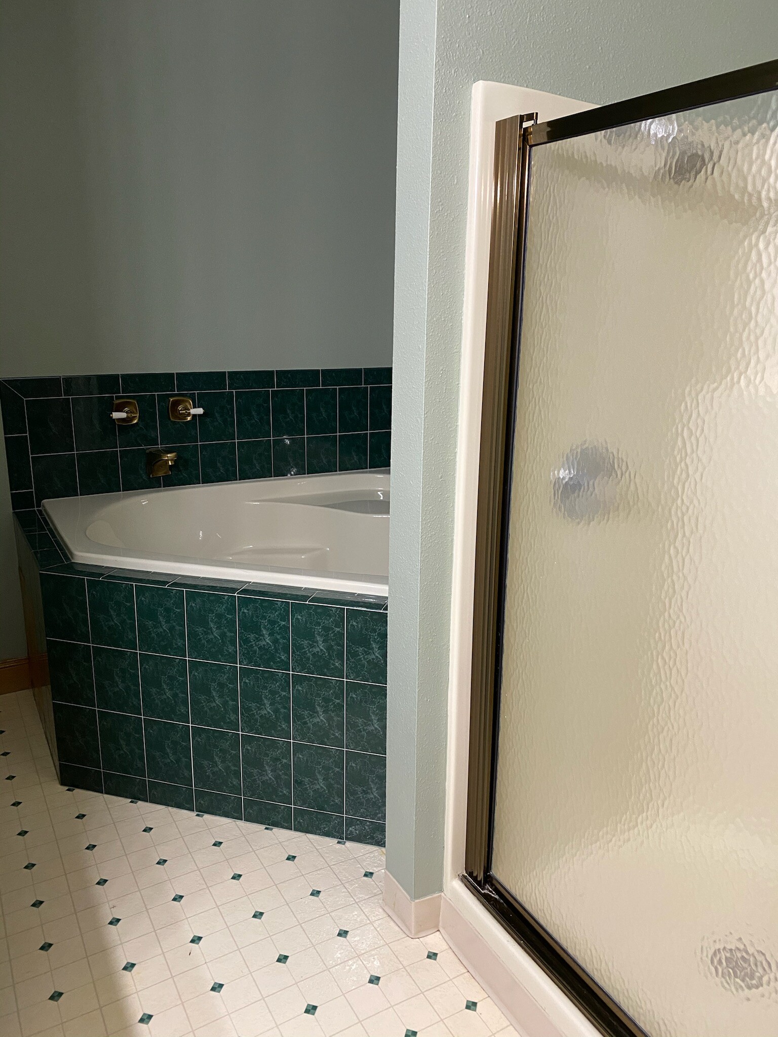 Main Bath Jacuzzi and Shower - 105 2nd Ave NE