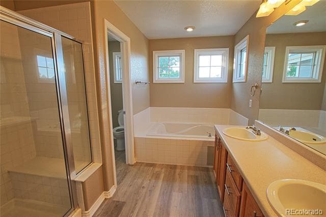 Building Photo - 4316 Timber Hollow Loop