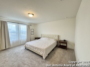 Building Photo - 5003 Cassiopeia