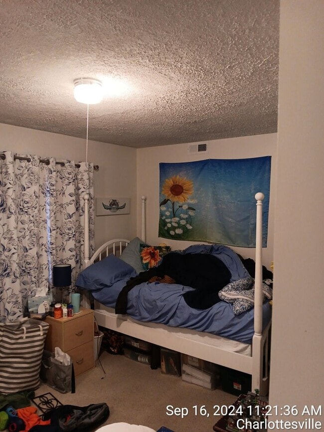 Building Photo - 2027-2028 Heart of the UVA Area 5 Bdrm / 2 Bath PARKING INCLUDED