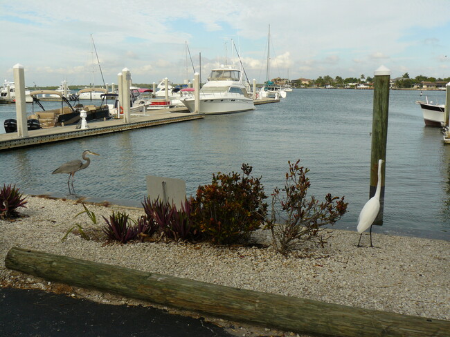 Building Photo - 1031 Anglers Cove