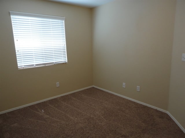 Building Photo - 4750 Chino Peak Ct