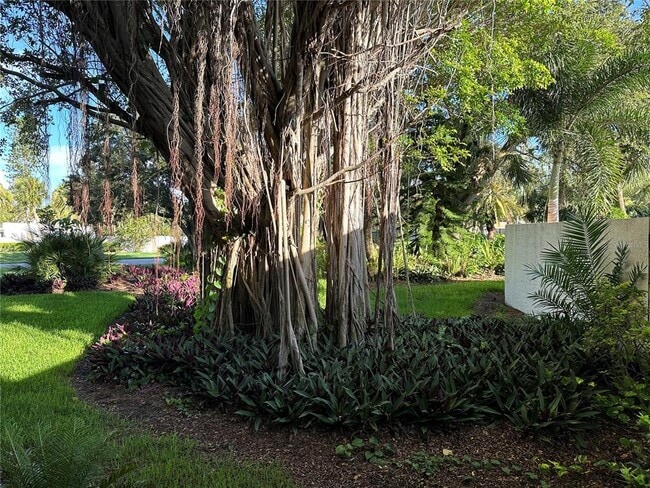 Building Photo - 655 Woodlawn Dr