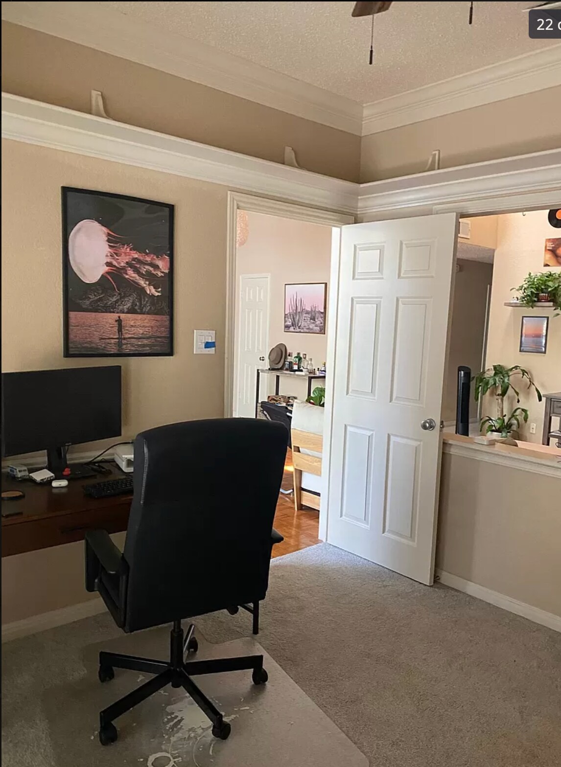 Office/Flex Space - 3809 Spicewood Springs Rd