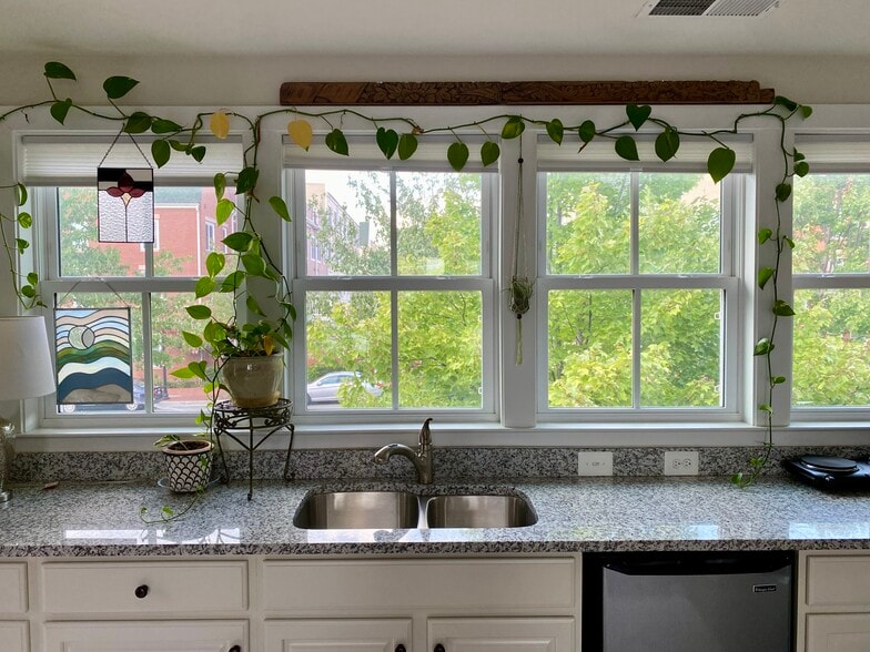 View from windows overlooking Custis Ave. - 2115 Main Line Blvd