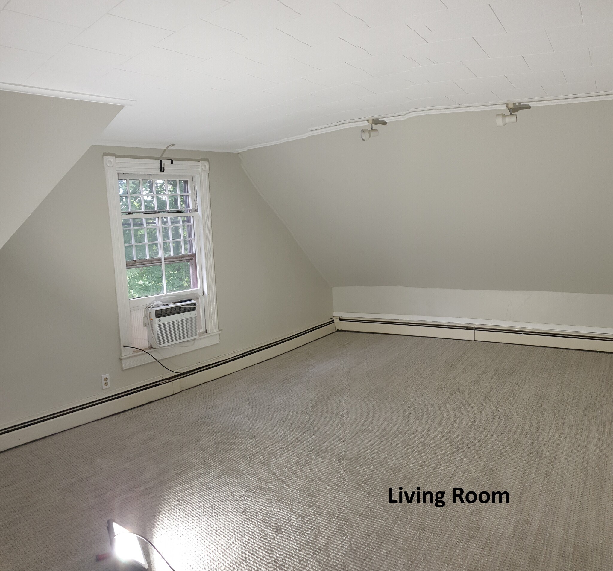 Natural light pours through the large window, creating a bright and inviting living space - 412 Morris Ave