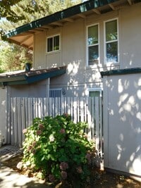 Building Photo - 215 Roundtree Ct
