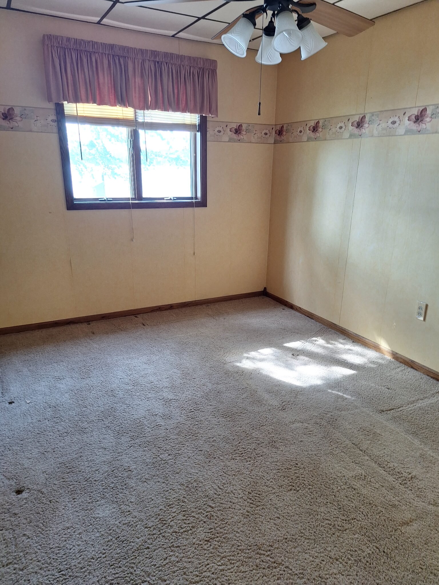 2nd bedroom - 9199 Jane Rd N