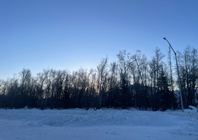 Building Photo - Spacious 3 bedroom/2 bathroom/2 car garage Ranch style home in Palmer with Soaring ceilings and m...