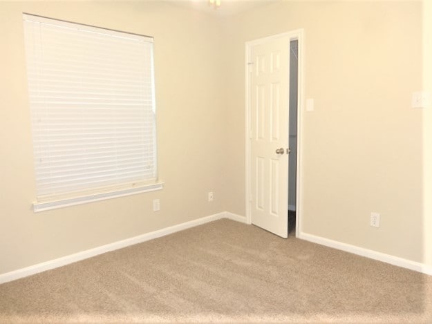 Building Photo - 2207 Shady Pine Dr