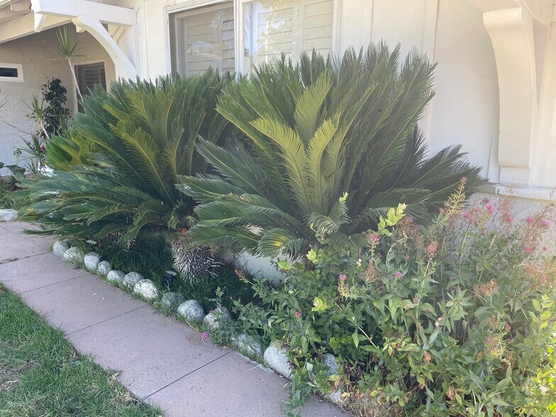 Building Photo - 6914 McLaren Ave