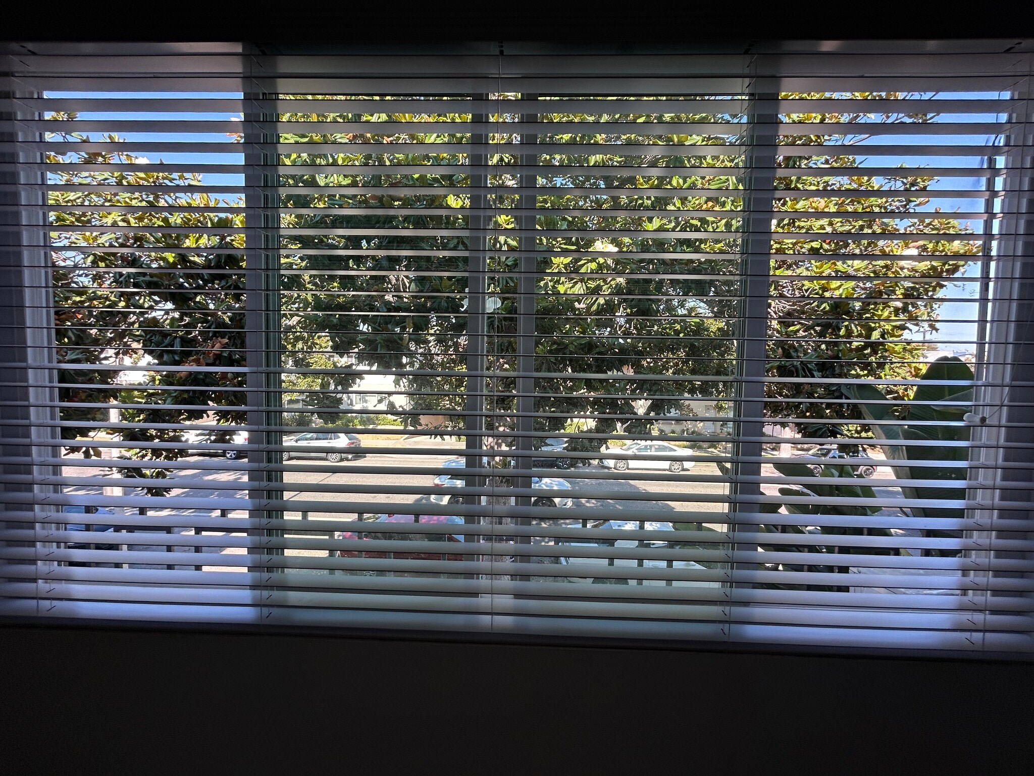 Window View from Living Room (similar to Bedroom No 2) - 325 S Doheny Dr