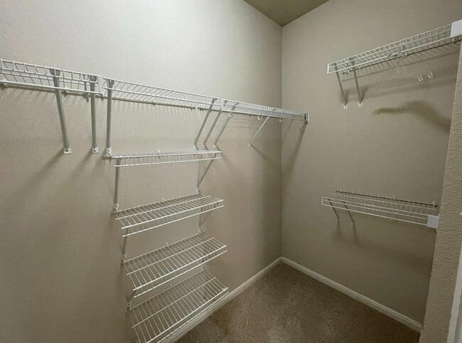 Building Photo - 1118 Boxwood Loop