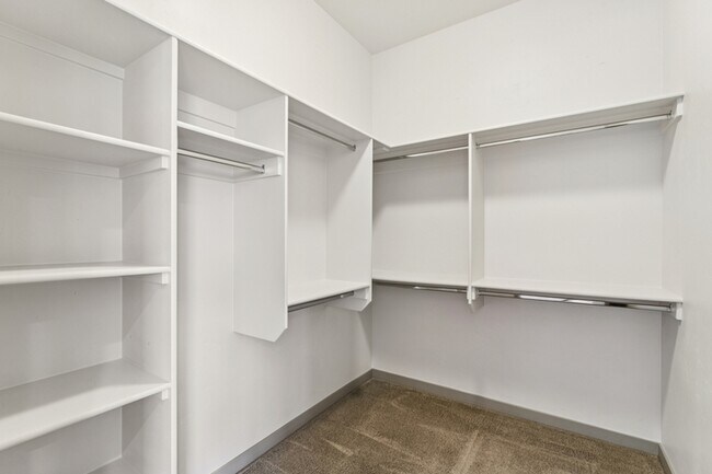 Building Photo - 3441 E Accommodation Ct
