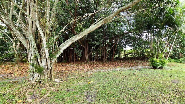 Building Photo - 1910 Palmland Dr