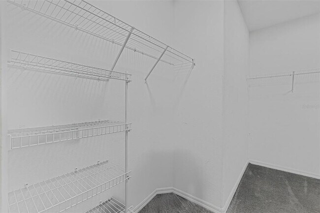 Building Photo - 5149 White Chicory Dr