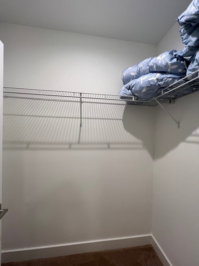 Building Photo - 1118 Nova St