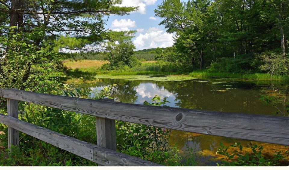 Nashua Rail Trail - 27 Pine St