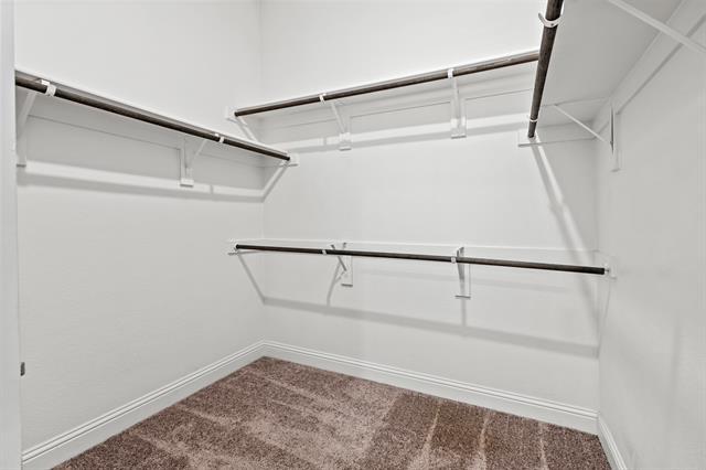 Building Photo - 4121 Angelina Dr