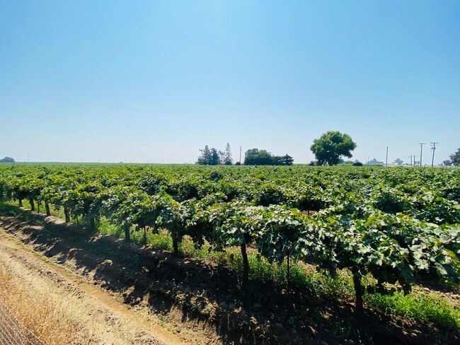 Building Photo - Cute Country Home on 1 Acre!