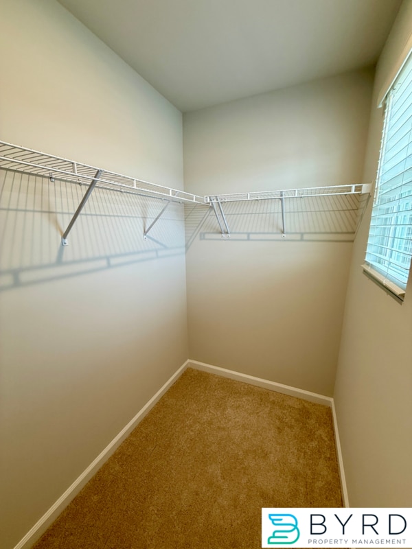 Building Photo - 316 Wilson Crk Dr