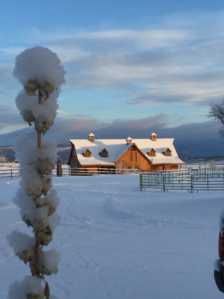 Barn - 29095 County Road 14A