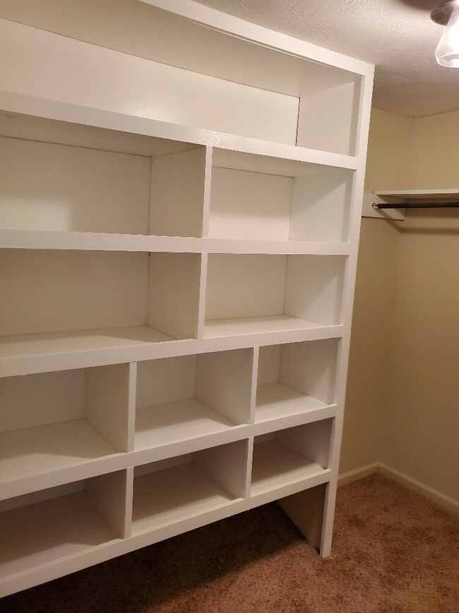 Building Photo - Newly Remodeled Mid Century Style Home!!