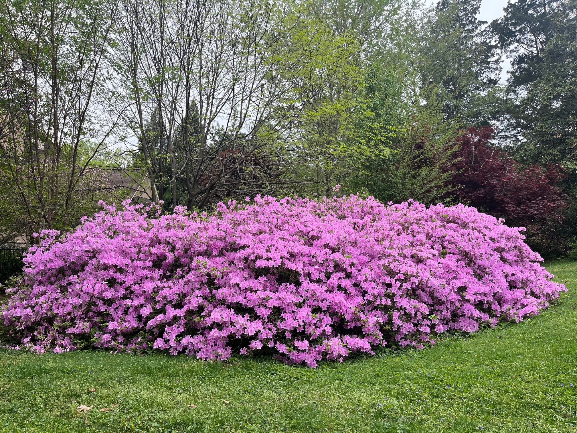 Building Photo - 5553 Little Falls Rd