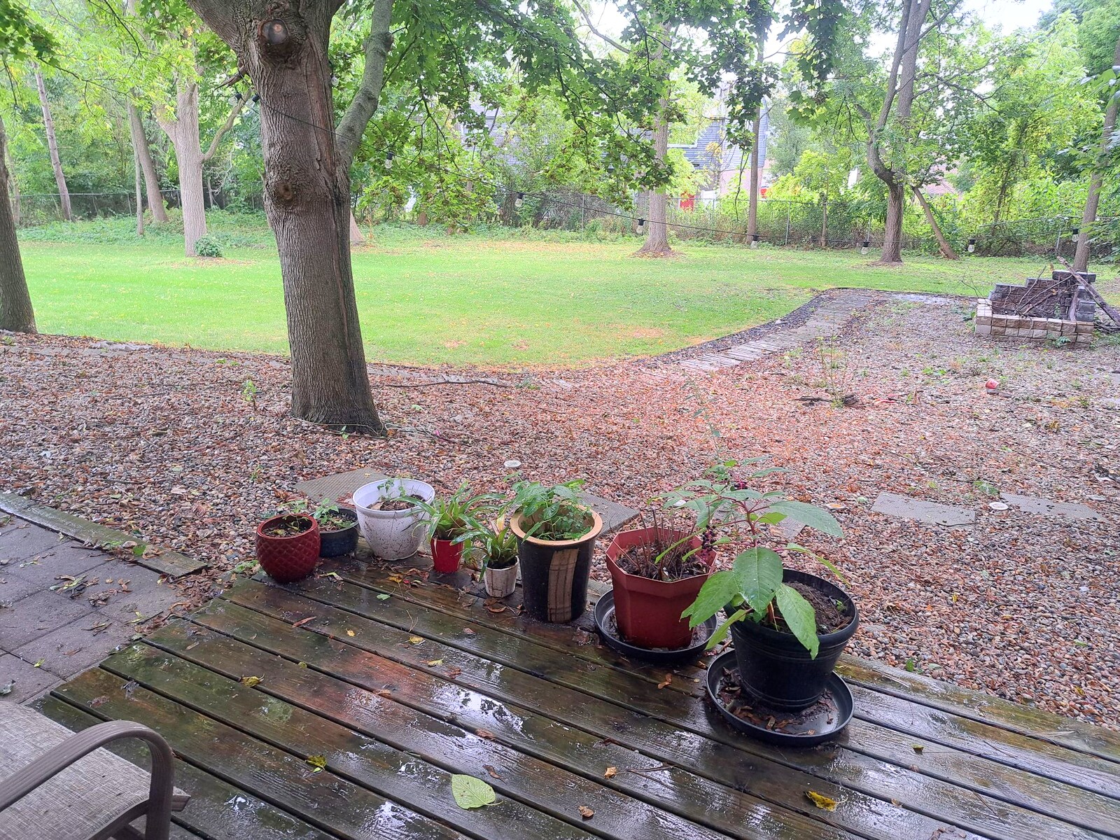 Building Photo - 671 W Clark Rd