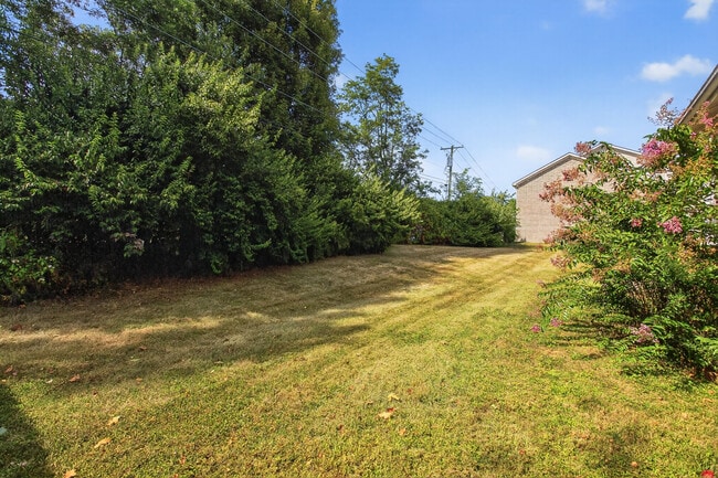 Building Photo - 3531 Cave Hill Pl